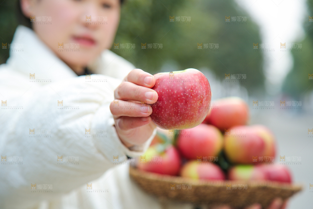 手里拿着国光苹果
