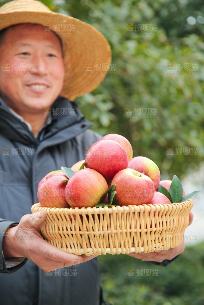 手里拿着国光苹果