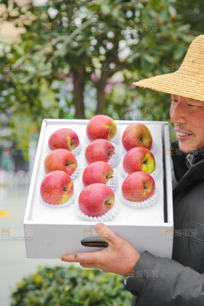 手里拿着国光苹果