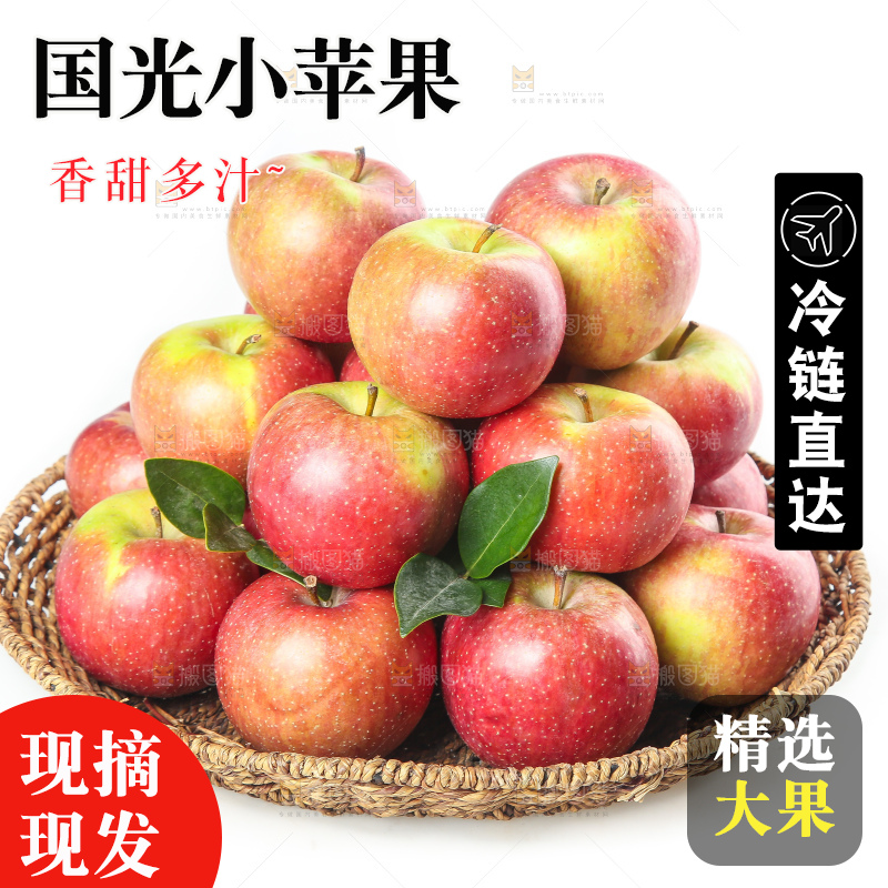 白底上的国光苹果
