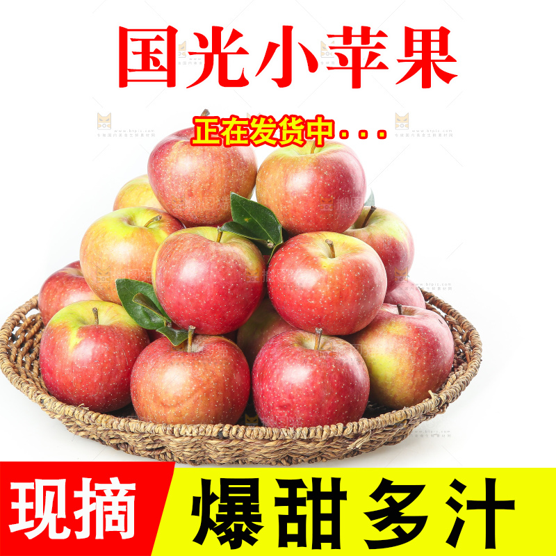 白底上的国光苹果