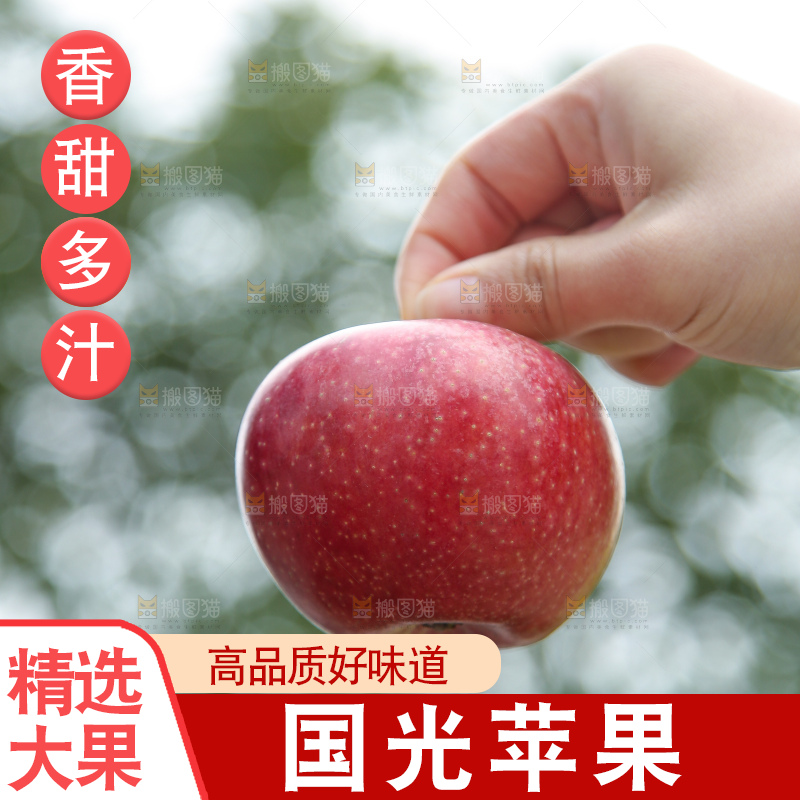 手里拿着国光苹果