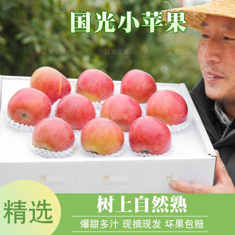 手里拿着国光苹果