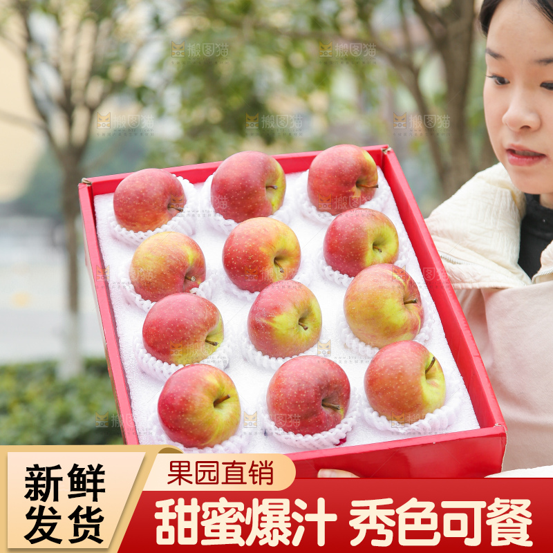 手里拿着国光苹果