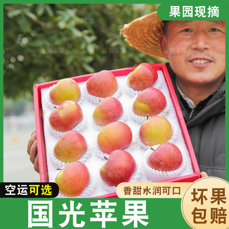 手里拿着国光苹果