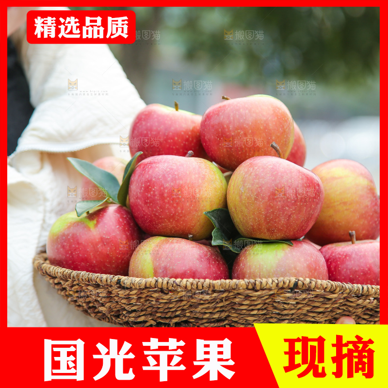 手里拿着国光苹果