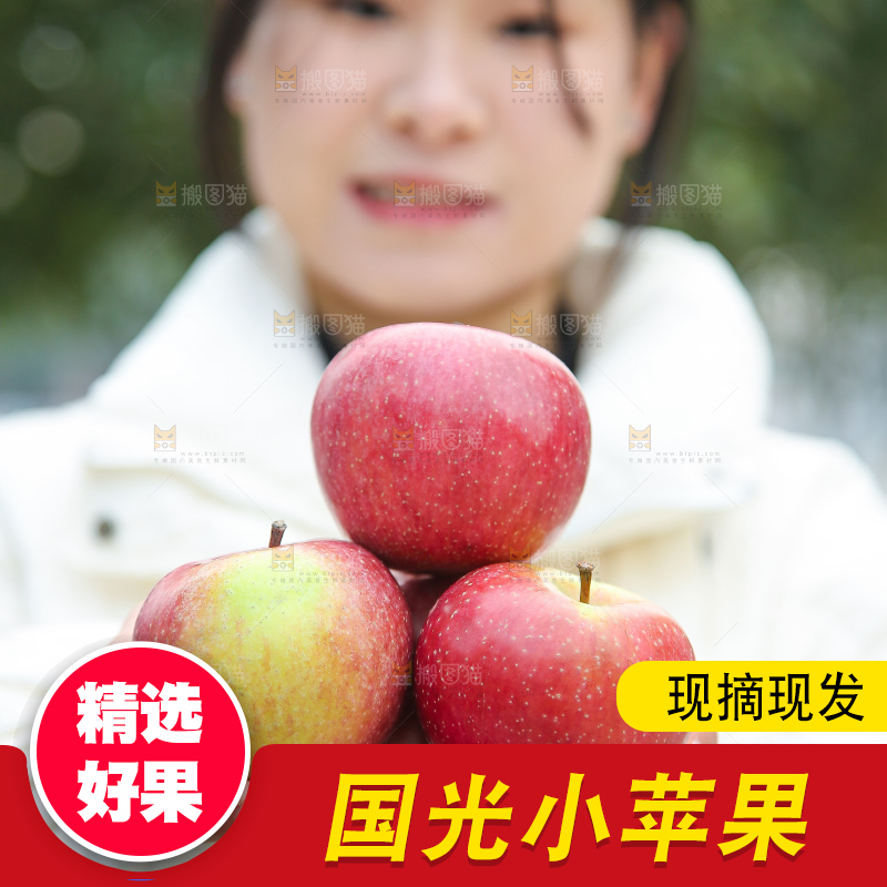 手里拿着国光苹果