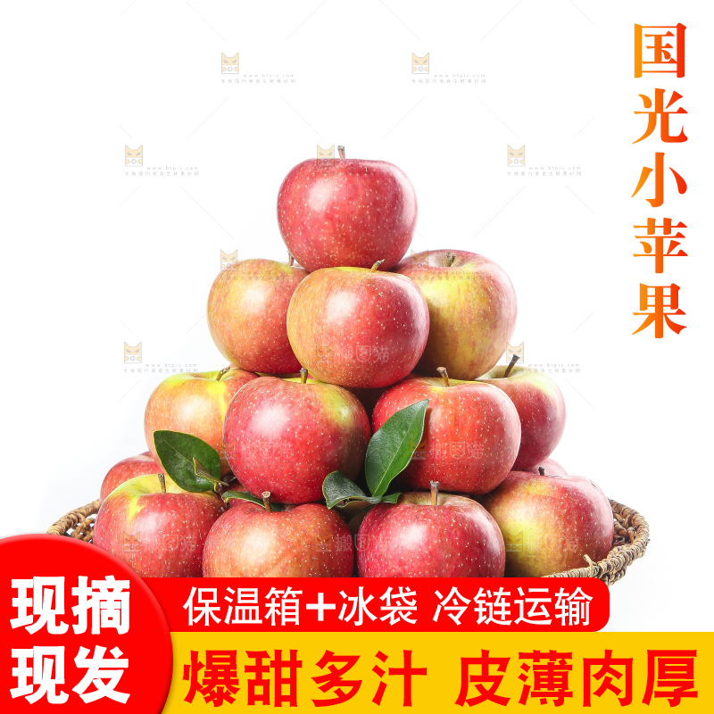 白底上的国光苹果