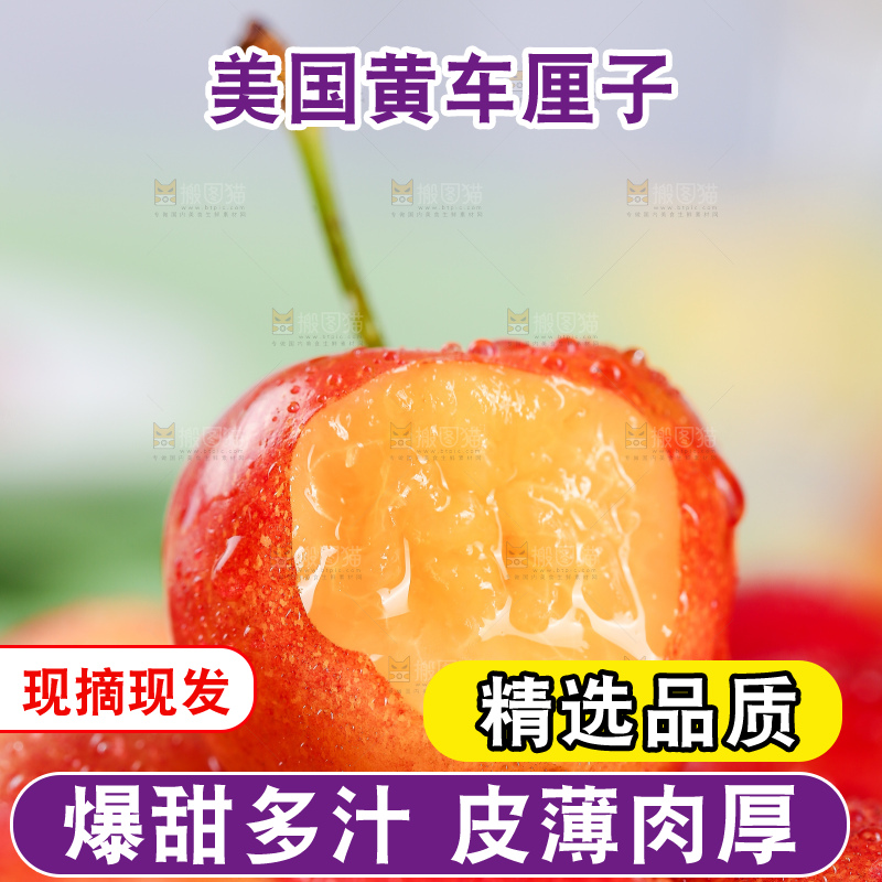 浅底上的黄金车厘子