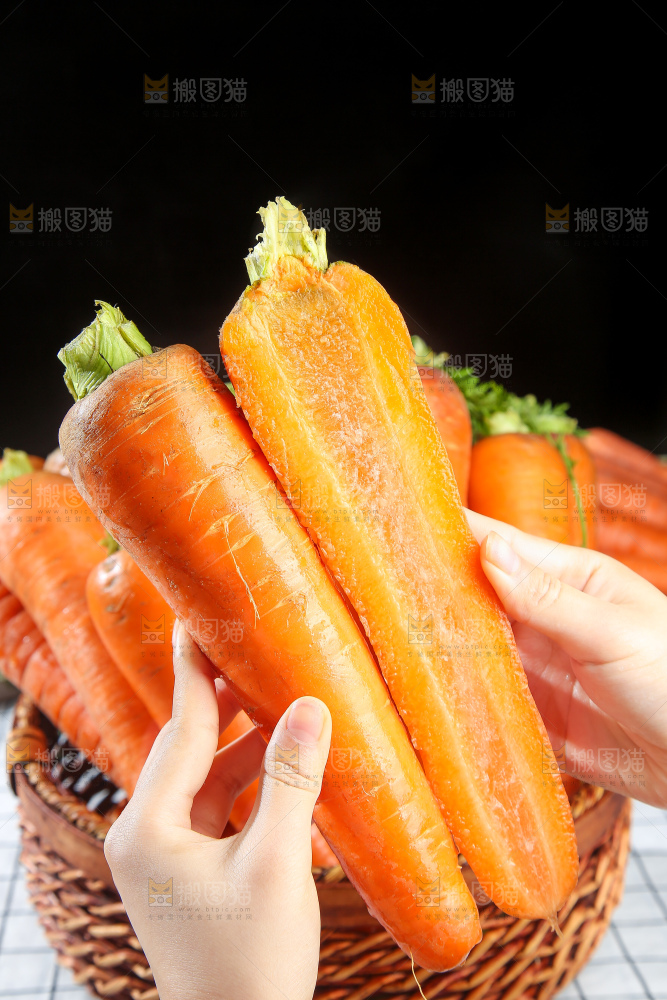 浅底上的胡萝卜