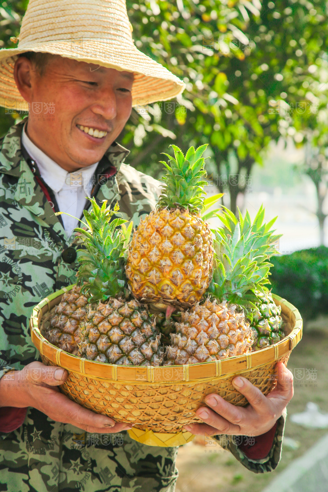 手里拿着徐闻菠萝