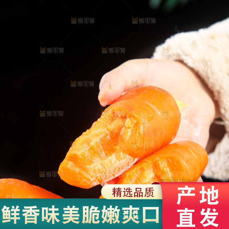 浅底上的胡萝卜