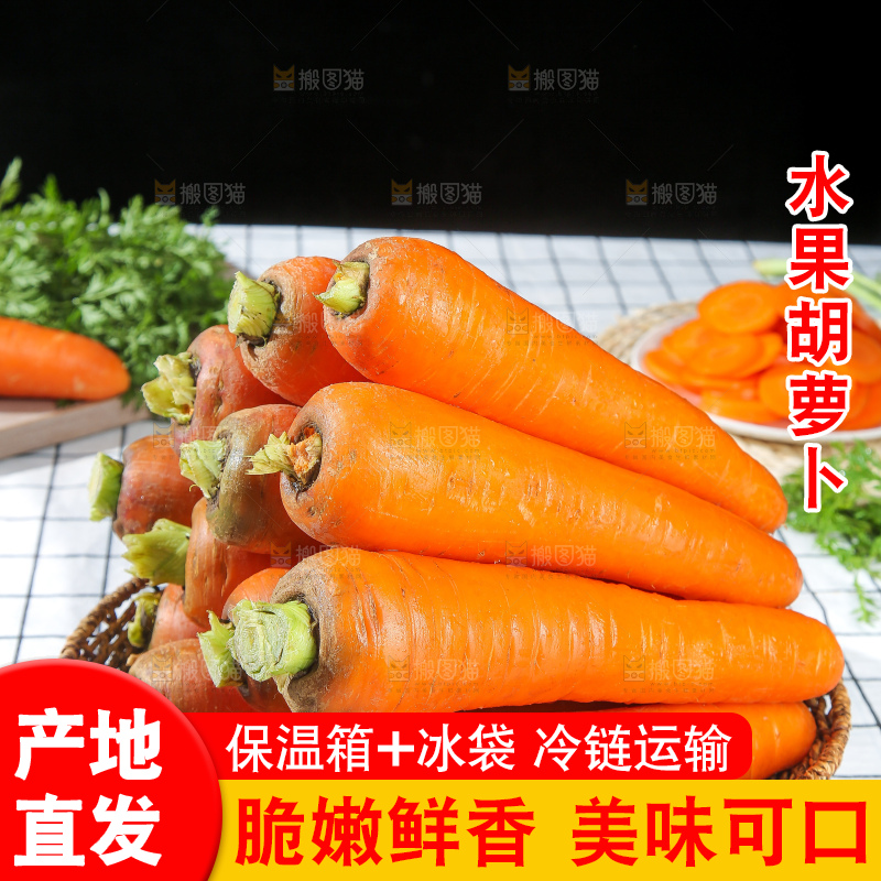 浅底上的胡萝卜