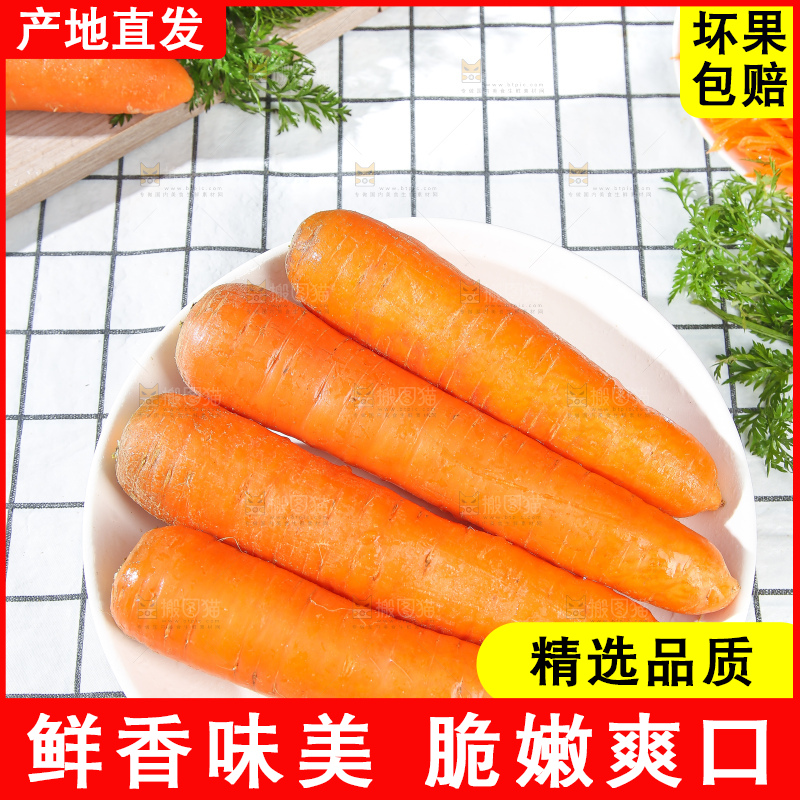 浅底上的胡萝卜