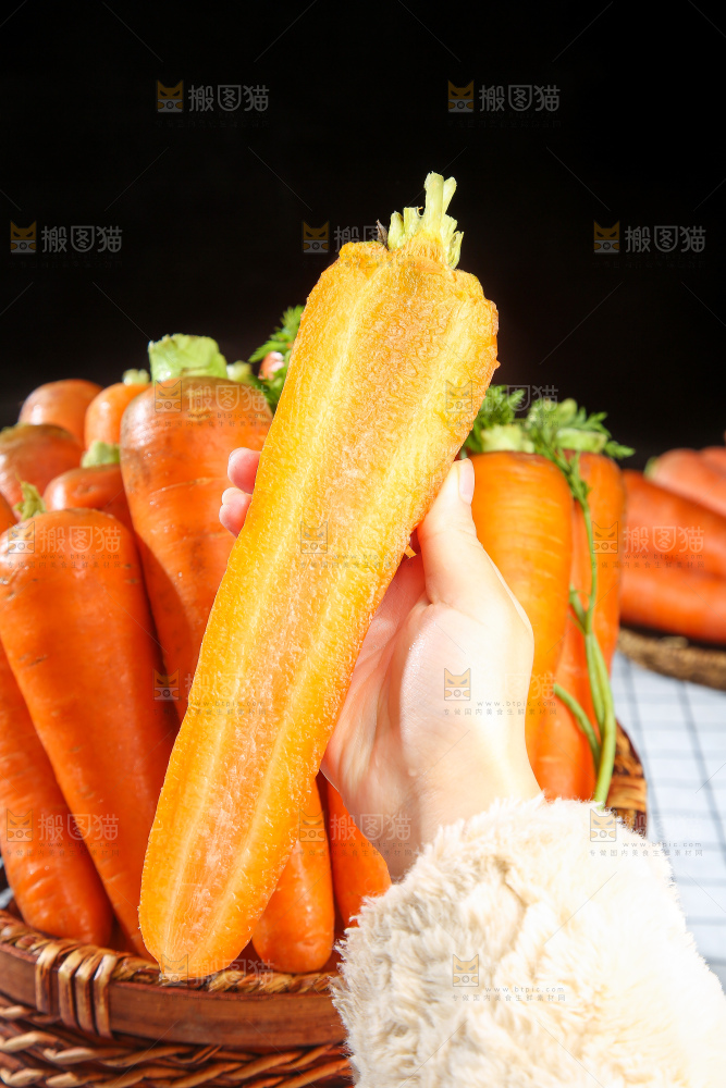浅底上的胡萝卜