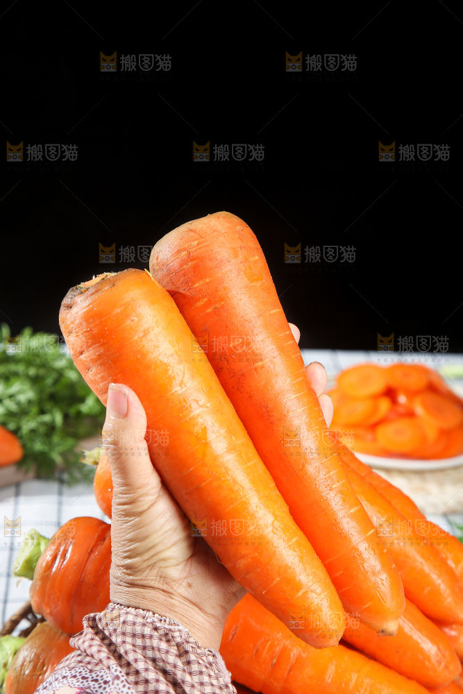 浅底上的胡萝卜