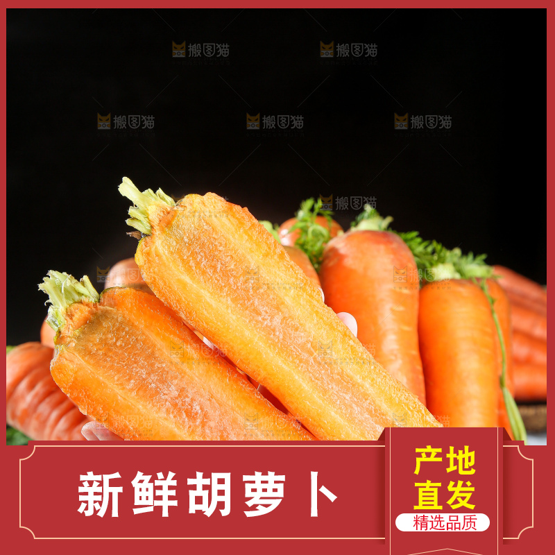浅底上的胡萝卜