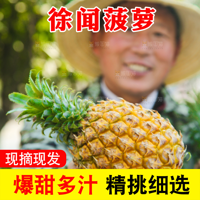 手里拿着徐闻菠萝