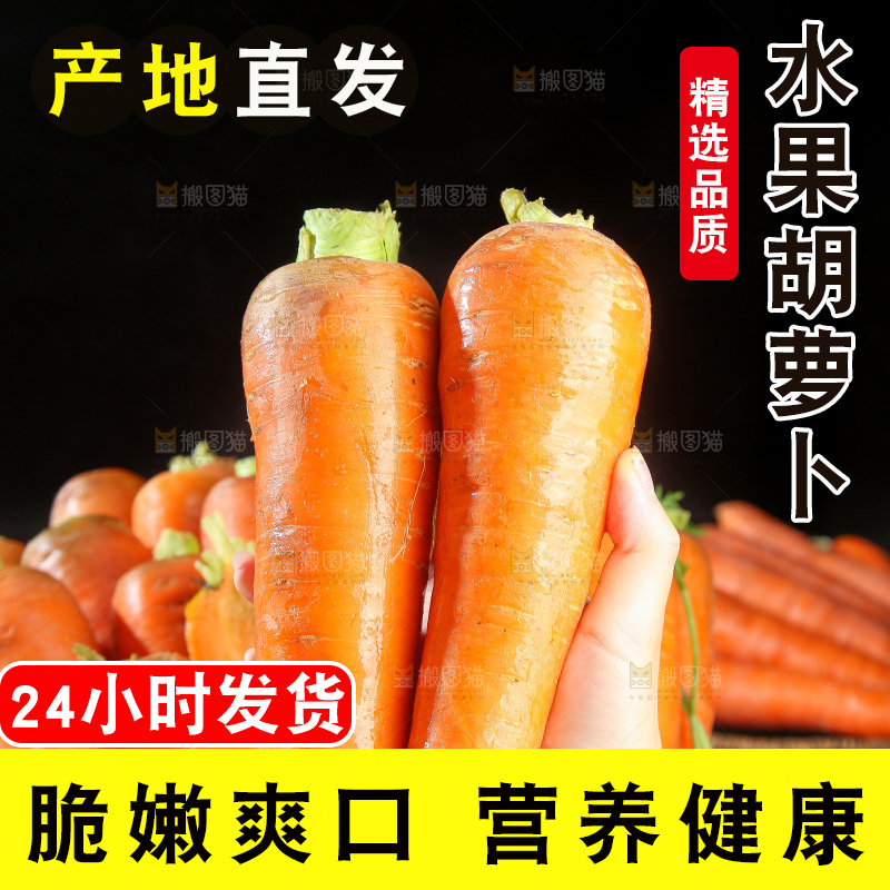 浅底上的胡萝卜