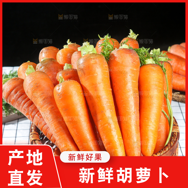 胡萝卜主图