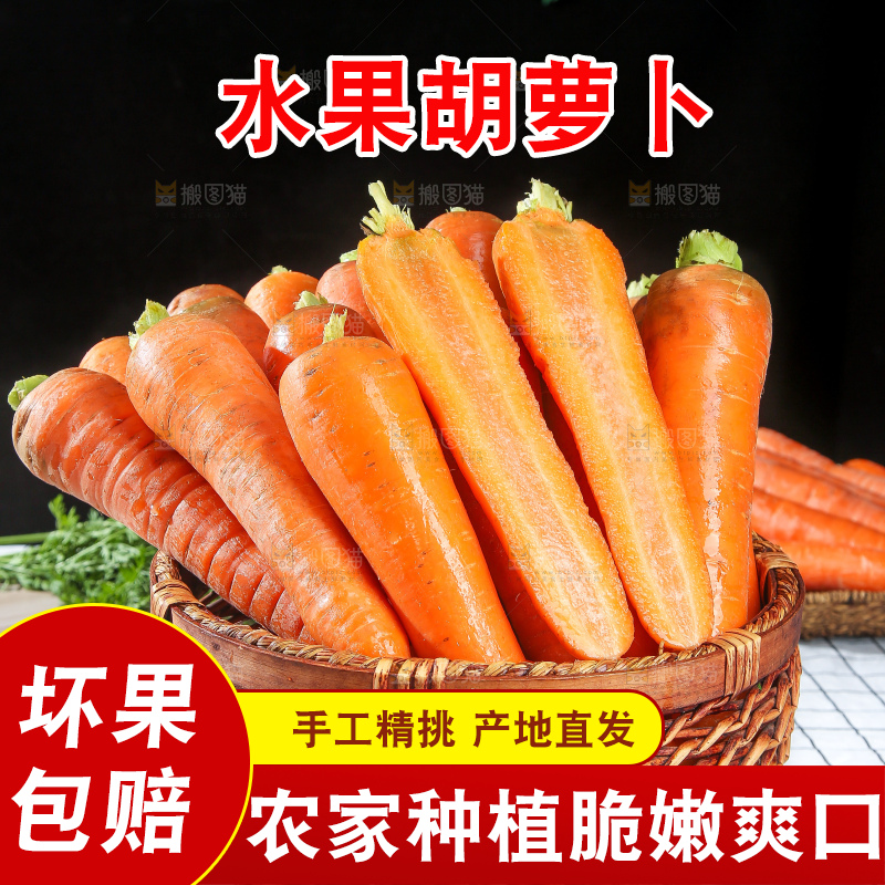 浅底上的胡萝卜