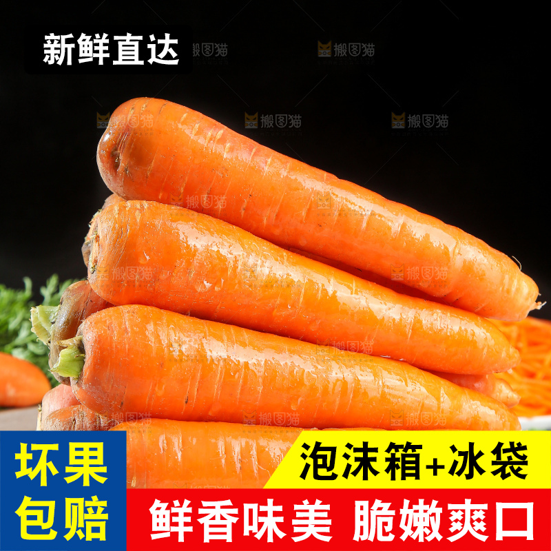 浅底上的胡萝卜