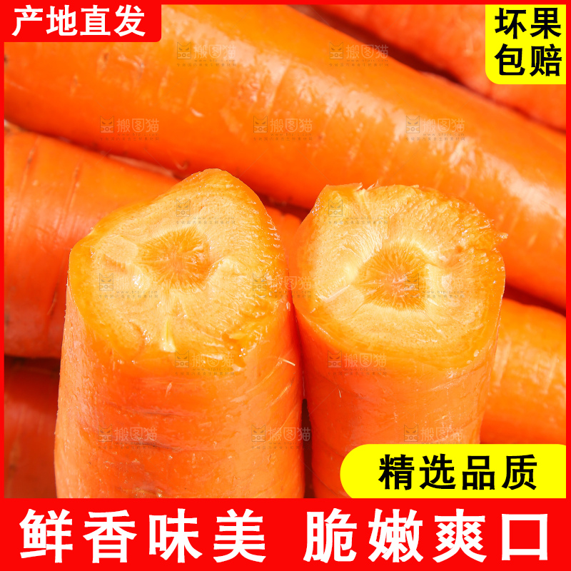 浅底上的胡萝卜