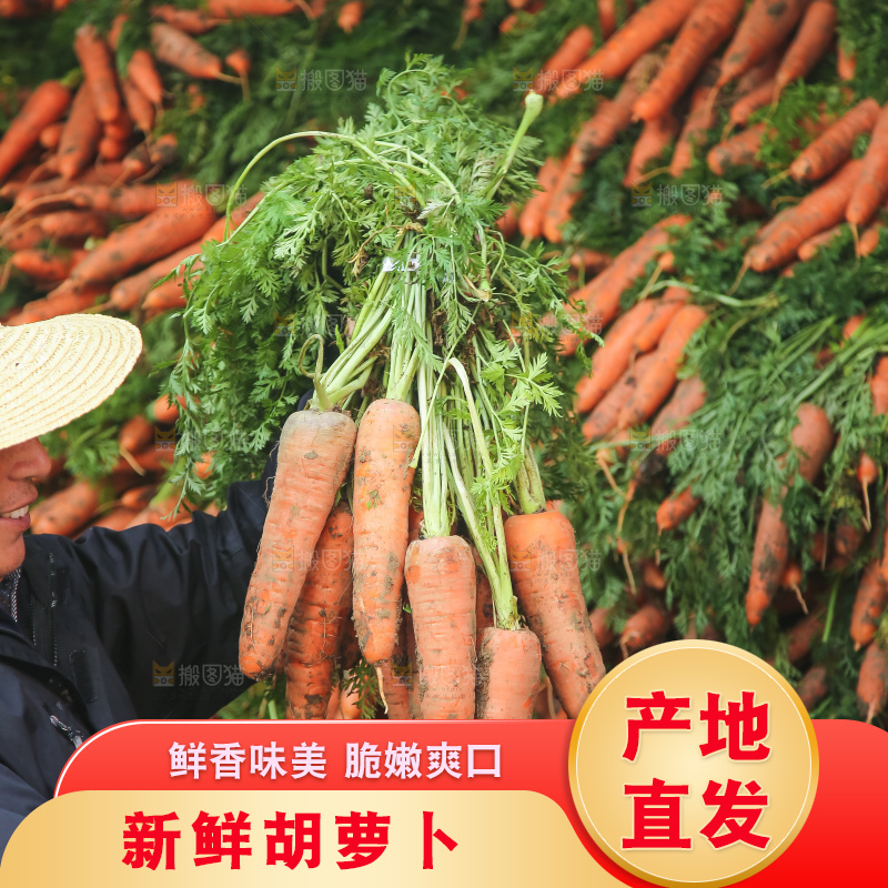 手里拿着胡萝卜