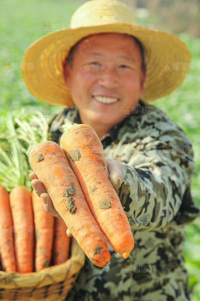 手里拿着胡萝卜
