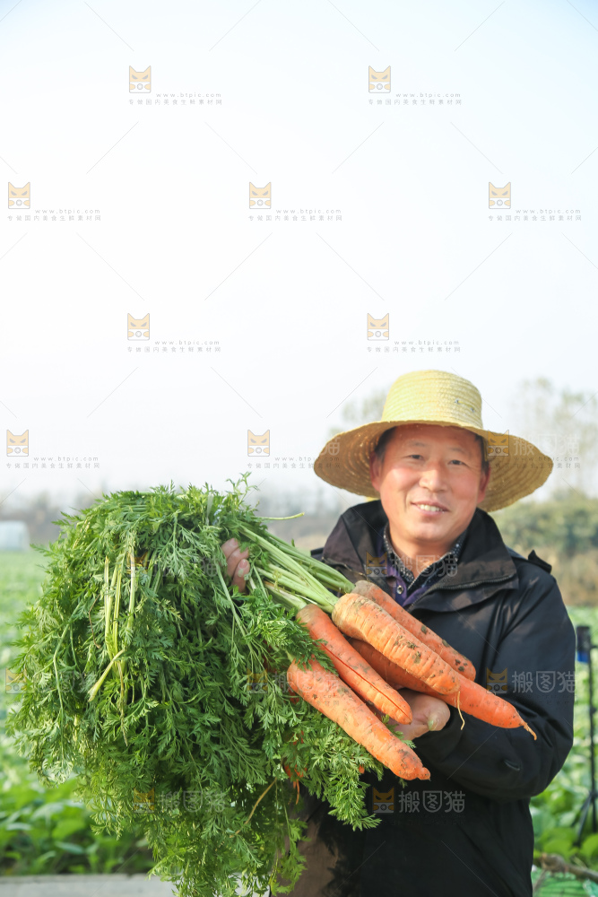 手里拿着胡萝卜