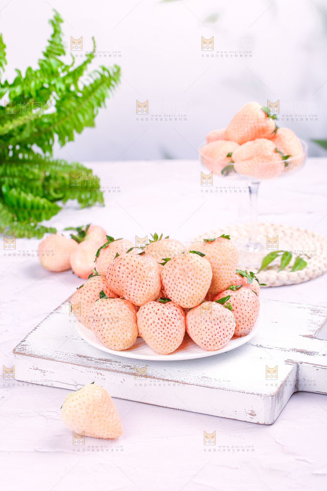 浅底上的淡雪草莓