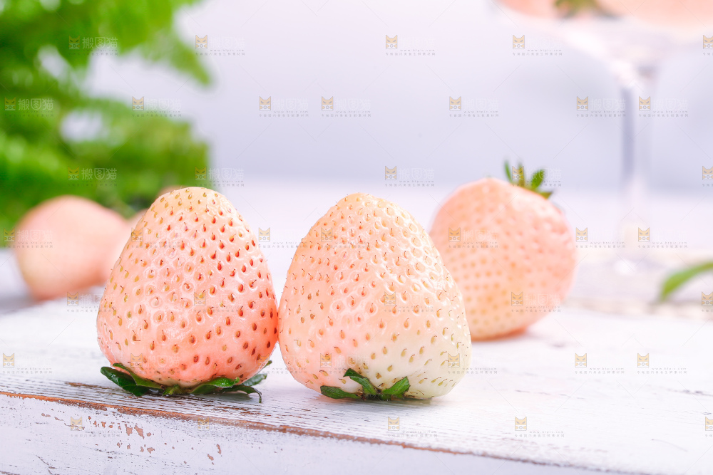 淡雪草莓