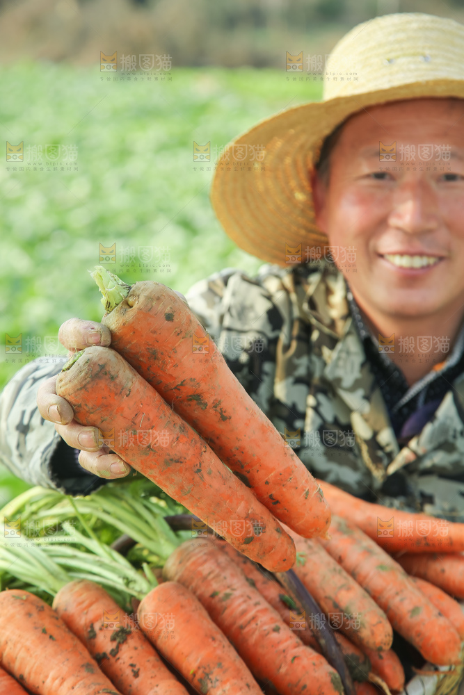 手里拿着胡萝卜