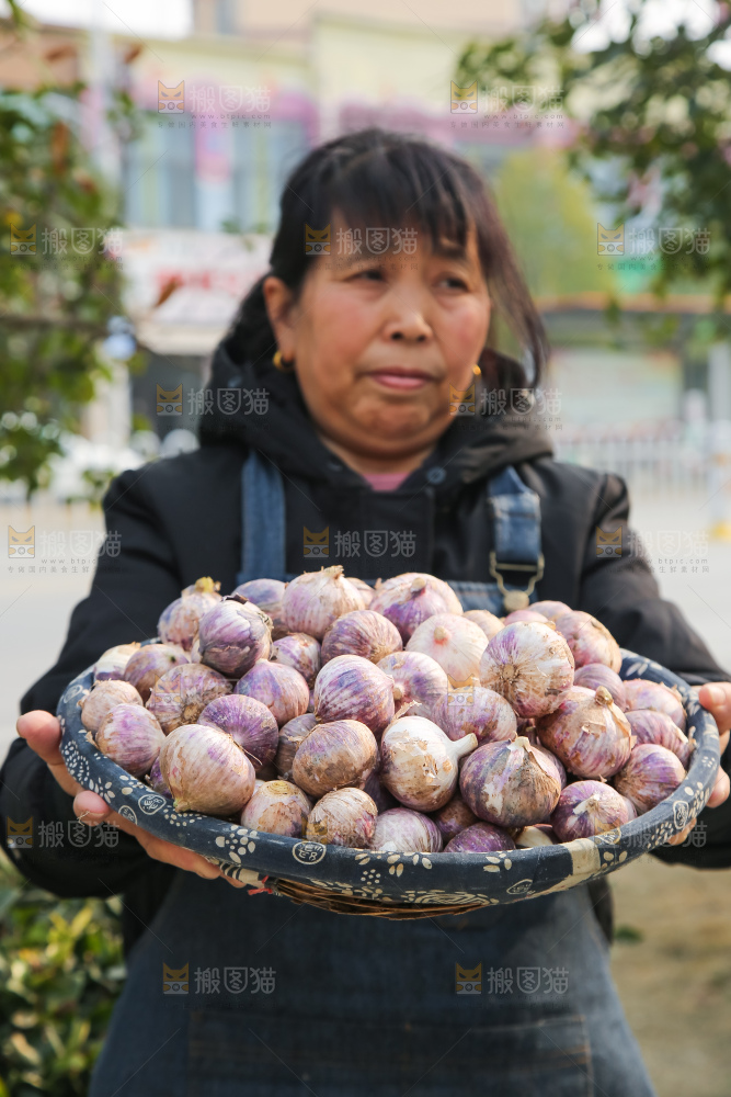 手里拿着紫皮独头蒜