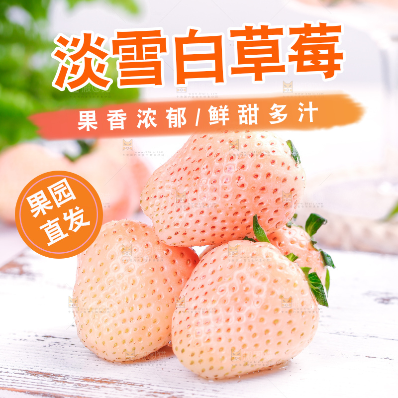 淡雪草莓主图