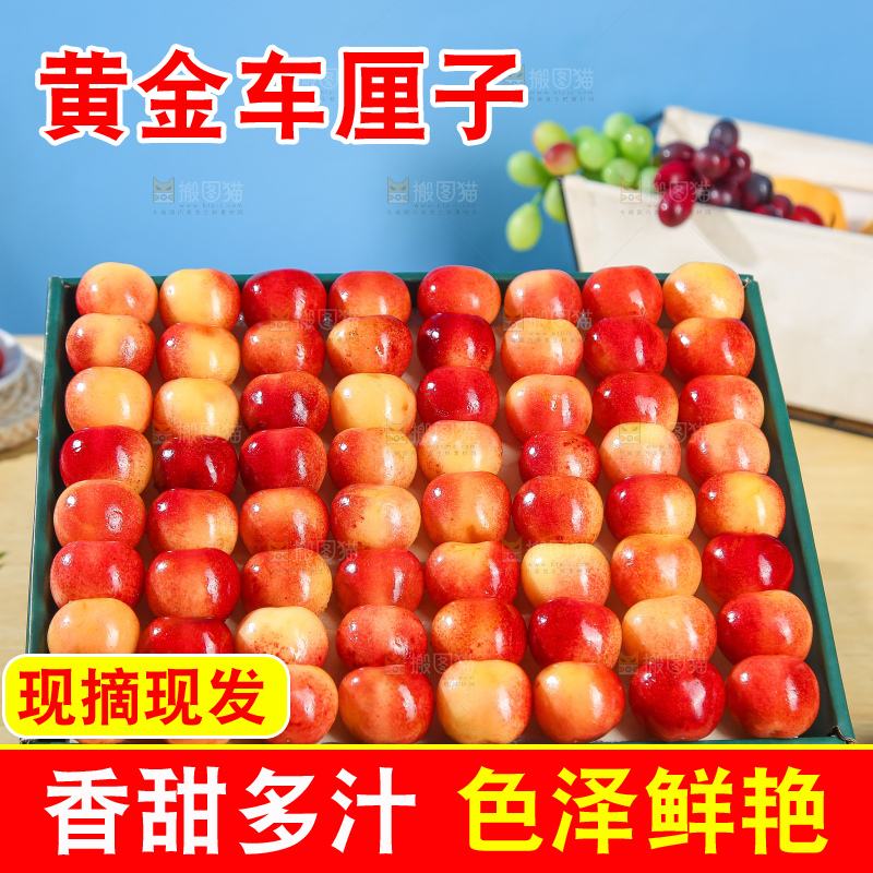浅底上的黄金车厘子