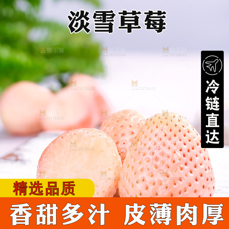 浅底上的淡雪草莓