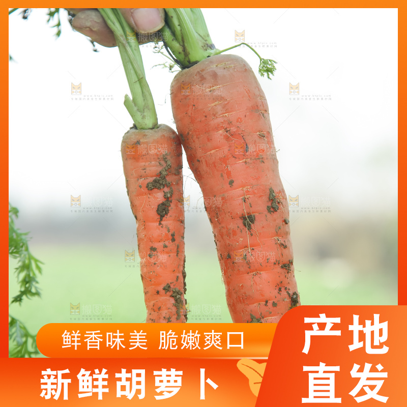 手里拿着胡萝卜