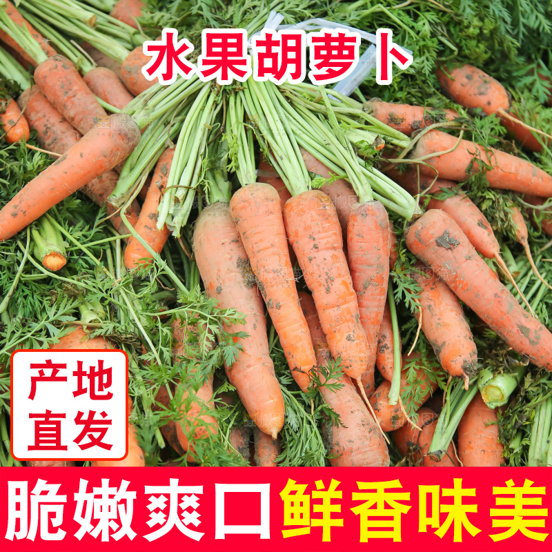 手里拿着胡萝卜