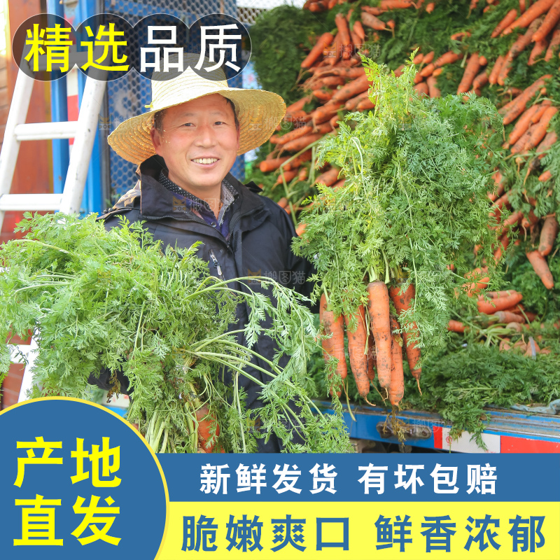 手里拿着胡萝卜