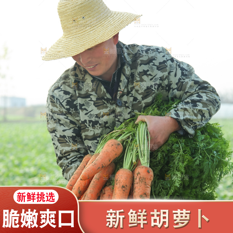 手里拿着胡萝卜