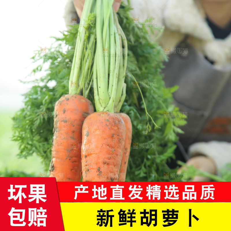手里拿着胡萝卜