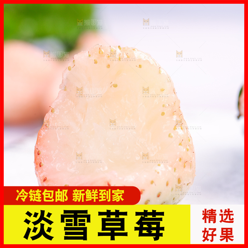 淡雪草莓主图