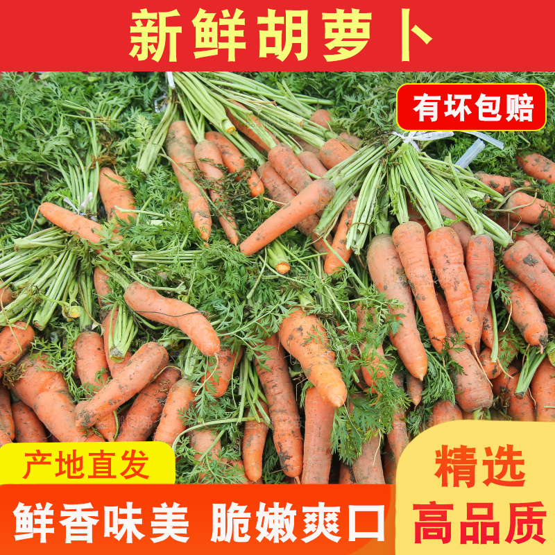 手里拿着胡萝卜