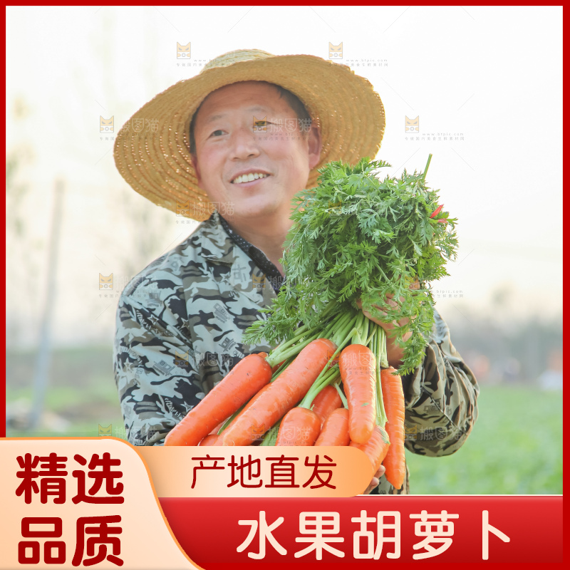 手里拿着胡萝卜