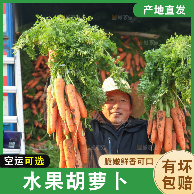 手里拿着胡萝卜