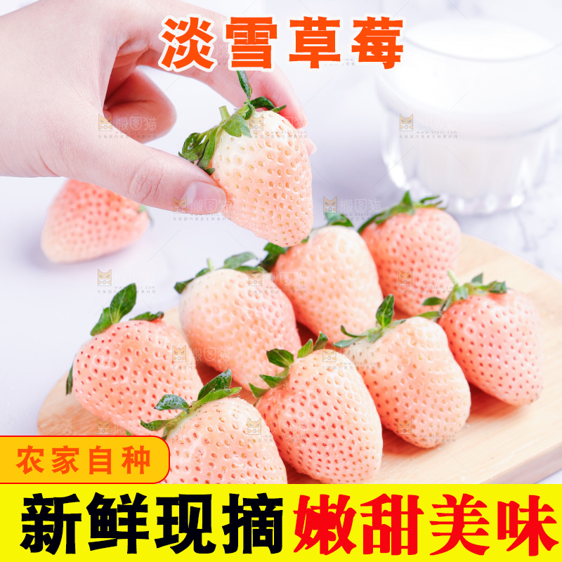 浅底上的淡雪草莓