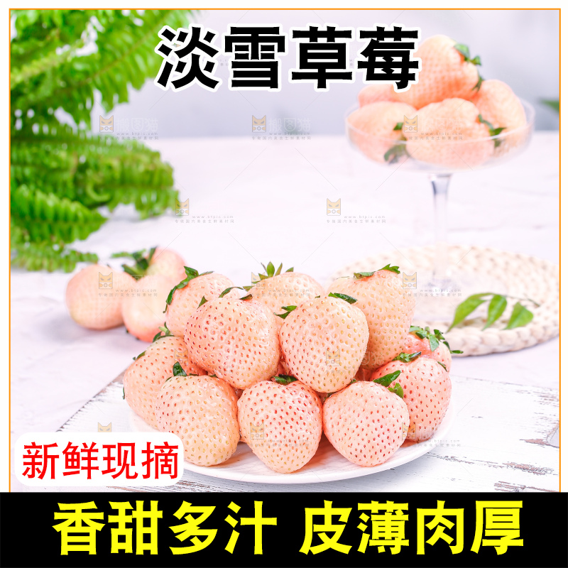 浅底上的淡雪草莓
