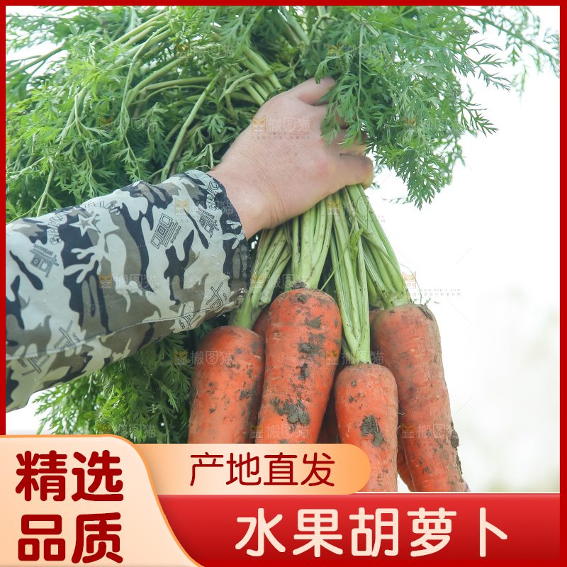 手里拿着胡萝卜