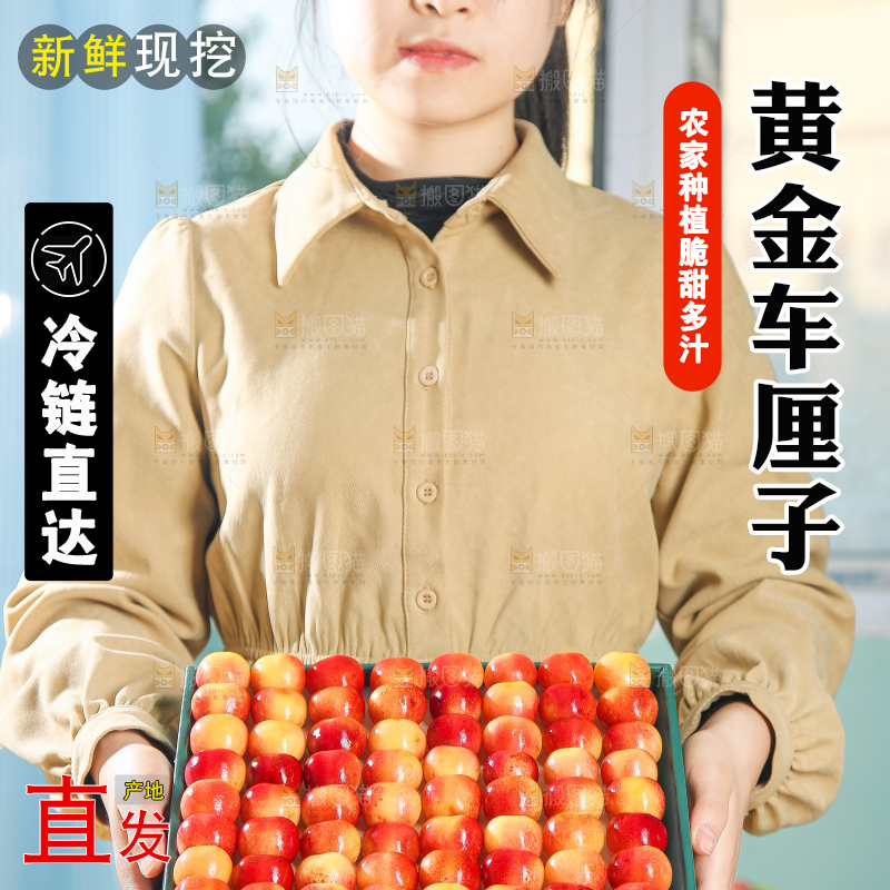 浅底上的黄金车厘子